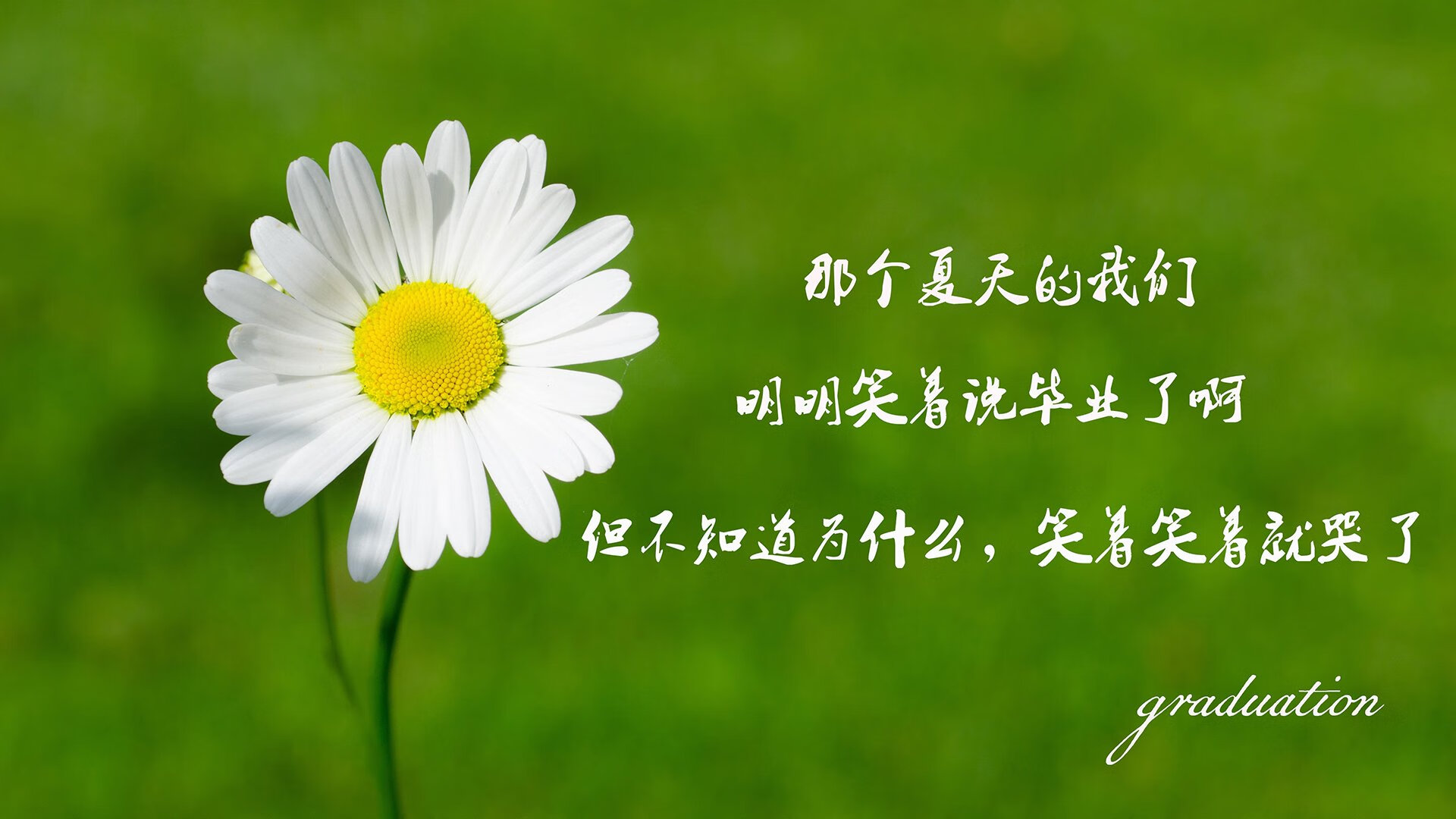 鏖战正酣，雷诺车队硬撼红牛二队，佩雷兹状态火热主宰赛道
