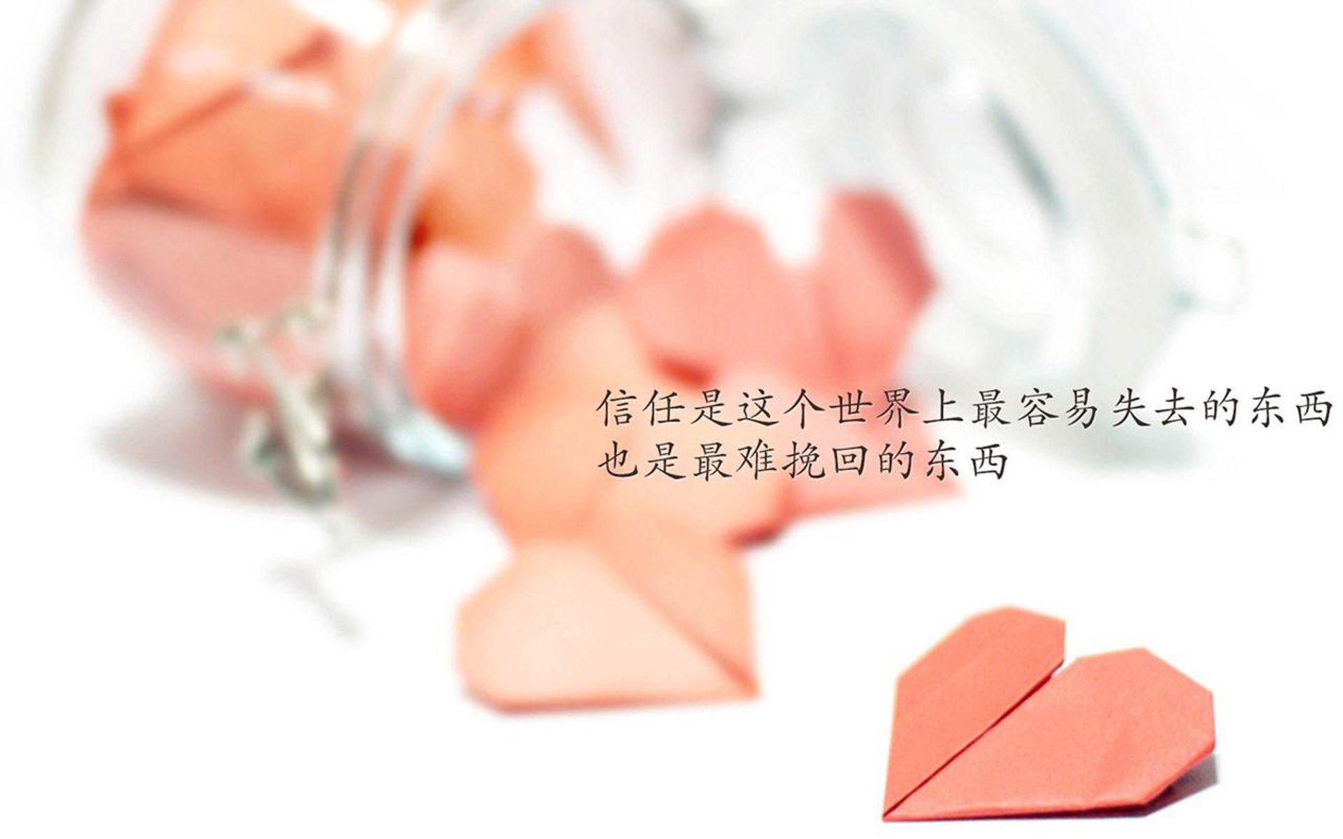 南半球的交响乐，当新西兰节奏在亚特兰大的狂想曲中扼住命运的咽喉