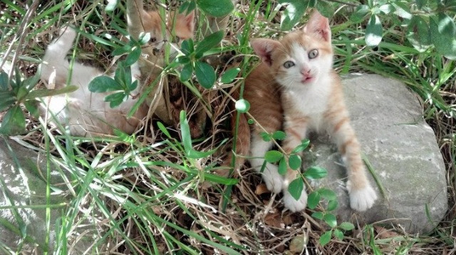 瞬间决定永恒，从西决生死战到巴黎险胜马赛，体育如何映照人生抉择
