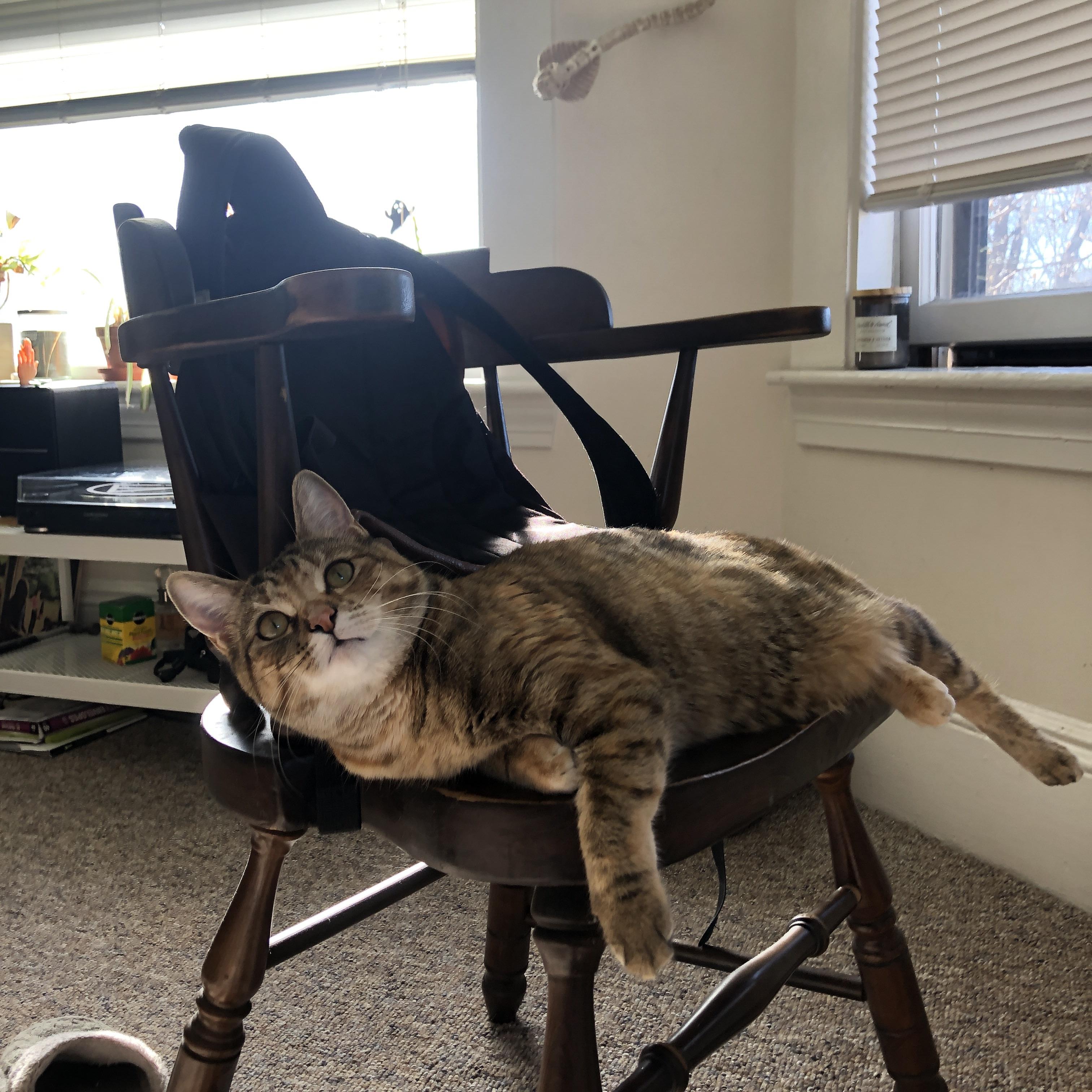 加维，塞维利亚斗牛士在哥伦比亚雨林中的翻盘基因