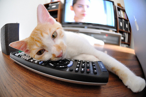 新时代的碰撞，文班亚马与恩比德，两场对位定义篮球未来