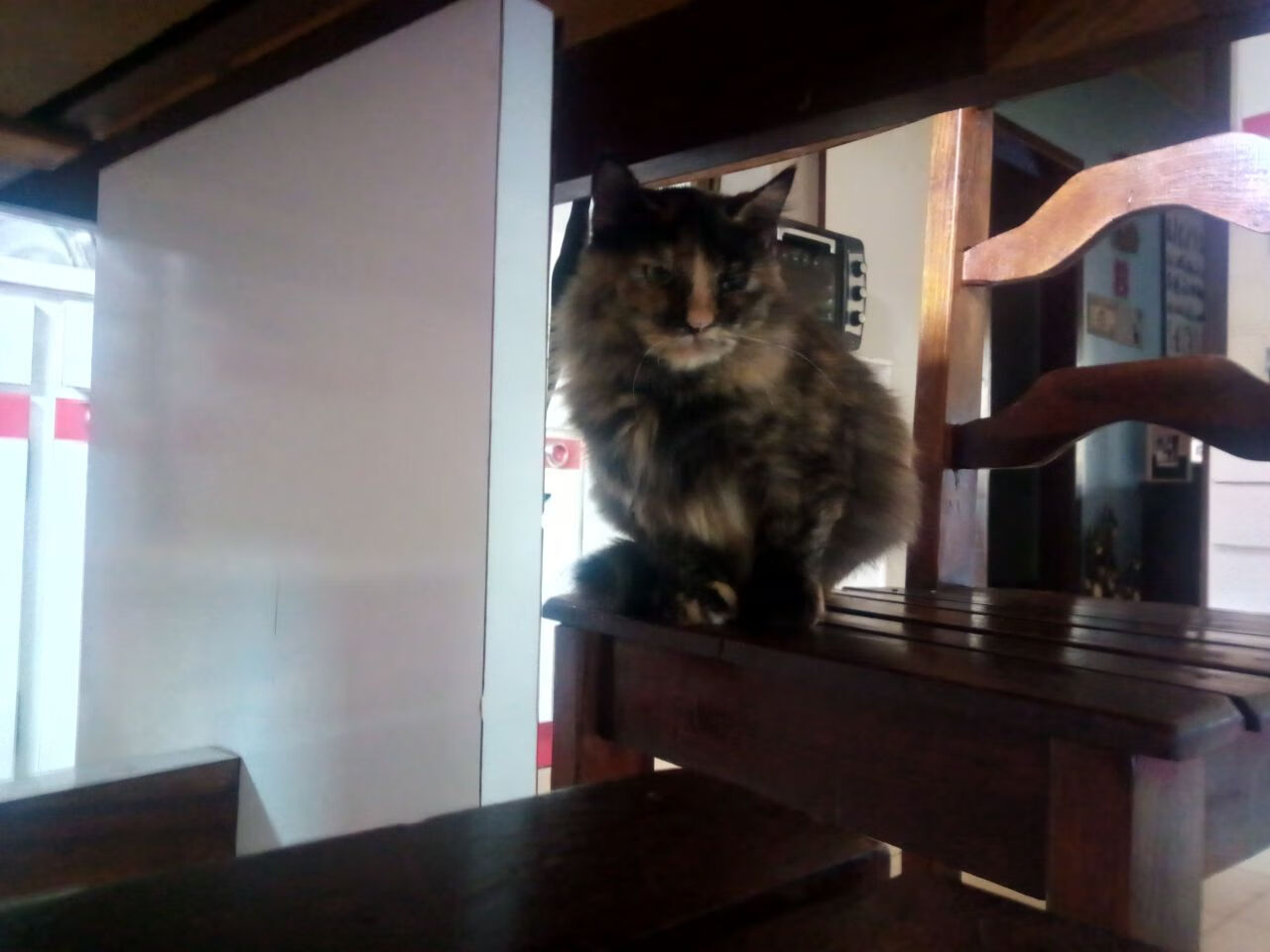 冰川与草原的共振，拉梅洛最后三分钟的唯一剧本