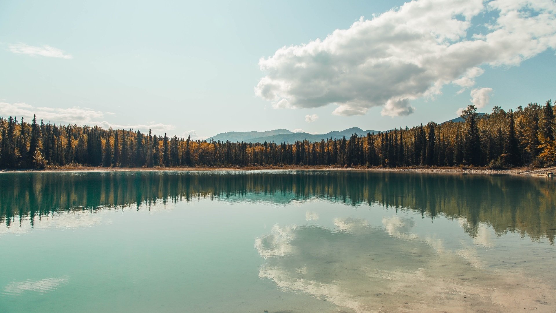 跨时空连线，莫兰特如何成为热火鏖战魔术的关键先生？