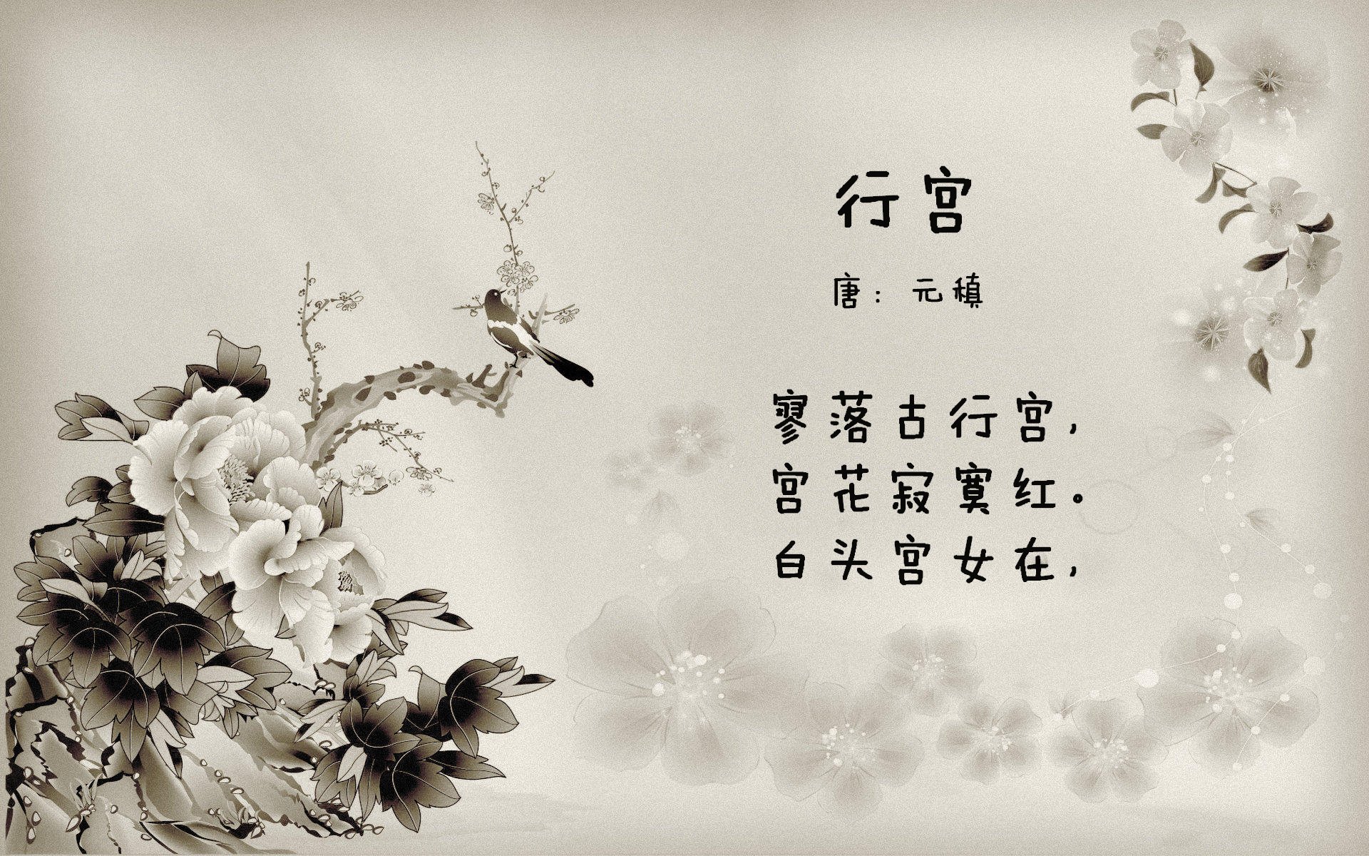 非洲风暴席卷高卢雄鸡，奥利维耶导演窒息胜利